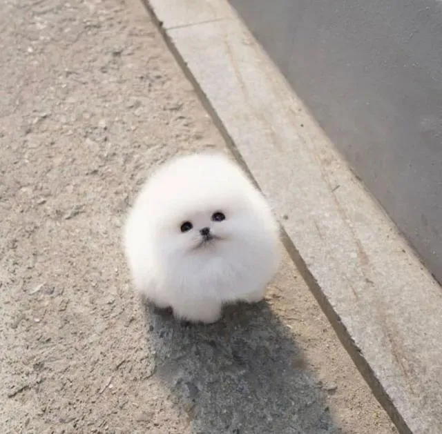 消息封面