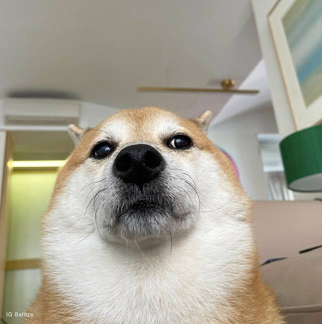 消息封面